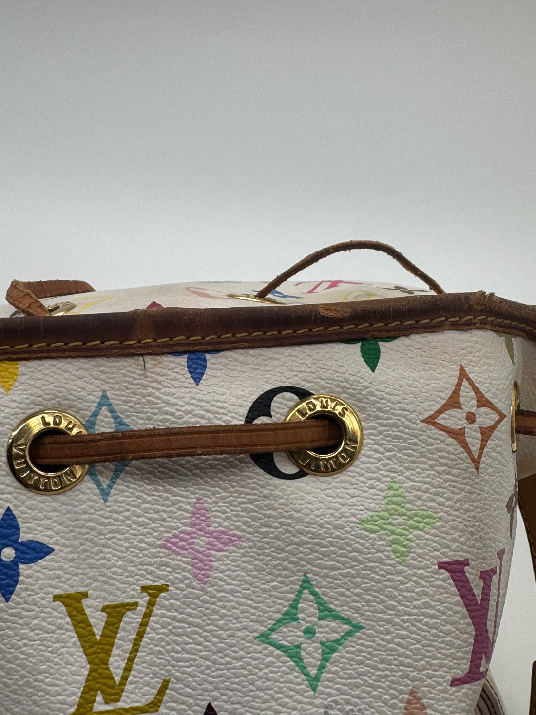 Louis Vuitton Monogram Multicolor Petit Noe