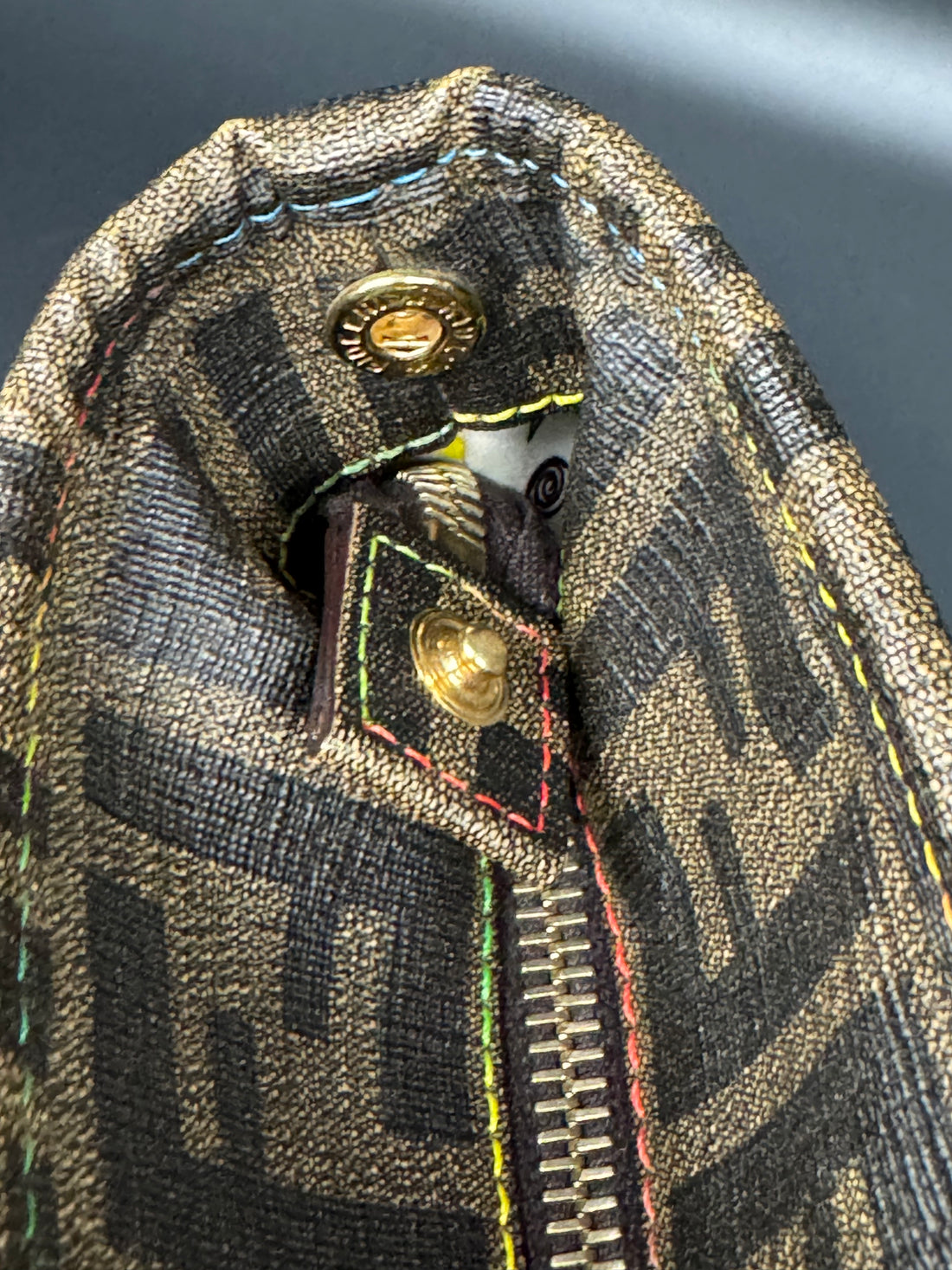 Fendi Borsa Zucca Canvas Shopper Tote