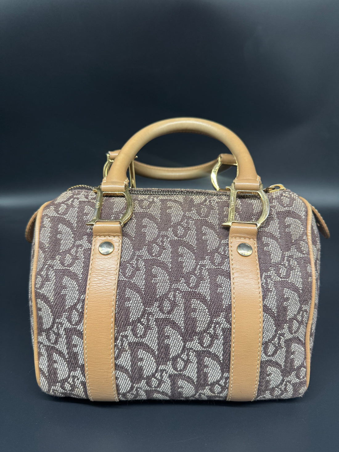 Dior Trotter Boston Oblique Mini